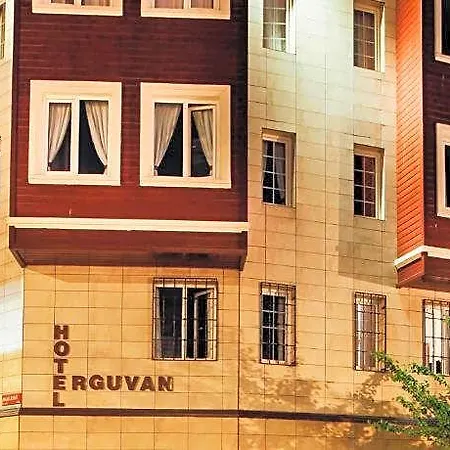 Отель Erguvan 4*